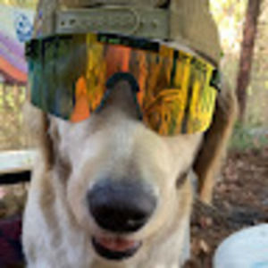 Meet your Posher, Theodore